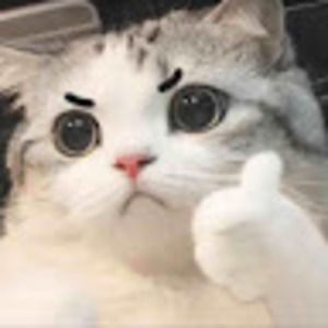 Meet your Posher, Joy